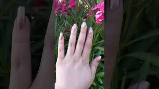 Sugar Coated ILNP