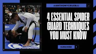 4 Essential Spider Guard Techniques YOU MUST KNOW!