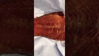 Smoked Salmon from Halvorson Fisheries - Cornucopia, Wisconsin