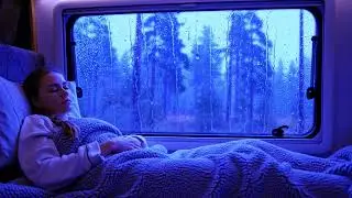 Comforting storm rain ambience outside camper van surrounded by forest night | rain sound