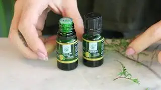 How to use Lemon Essential Oil
