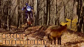 A Scenic Autumn Ride On The Tenere 700