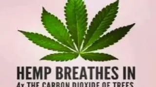 HEMP BIO DIESEL PART 1 | USING HEMP TECHNOLOGY PART2 (2020)