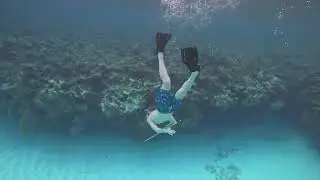 Bahamas Winter 2025 26