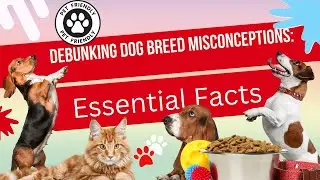 Debunking Dog Breed Misconceptions: Essential Facts