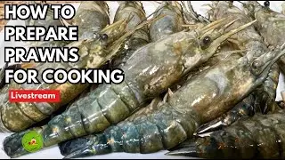 🔪 SHARP CUTTING ASMR PRAWNS (NO TALKING) 🍤 EXTREME SLICING SOUNDS FOR DEEP RELAXATION