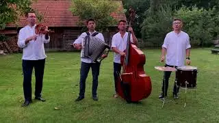 Dzikie Wino - Cyganeczka