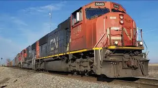 CN 5640 leads a Manifest SB through Tolono, IL