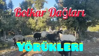 Bolkar dağlarında Yörükler