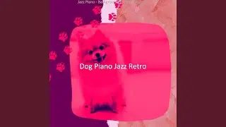 Spacious Ambiance for Calming Your Dog