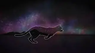 Cat Run Cycle (by Arcxus)