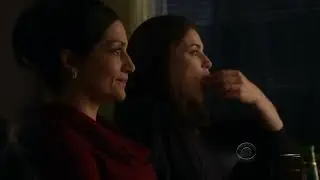 Alicia and Kalinda scenes (1&times;11)