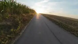 Mind in Motion