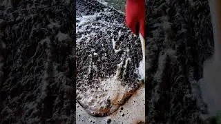 Months of Dirty Footprints vs. One Intense Soap Scrub