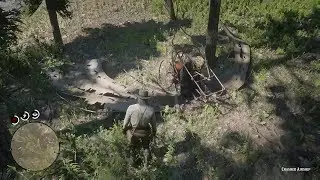 Crashed Airship Map Location - Red Dead Redemption II