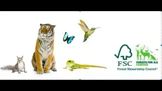 FSC Malaysia video (2018)  2 minutes