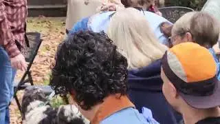 Blessing of the Animals,  Part 1