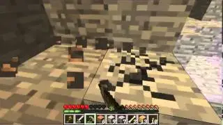 First survival with babygzus