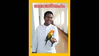 Trained Sun Conure Jubi 💕💕💕