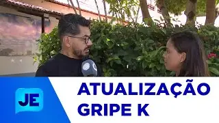 OMS faz um alerta global para evitar a dissemina&ccedil;&atilde;o do v&iacute;rus da chamada gripe K - JE