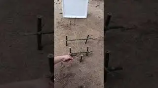 The ancients bamboo bow trap - #shorts - Woodworking DIY