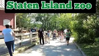 Walking inside Staten Island Zoo in New York City