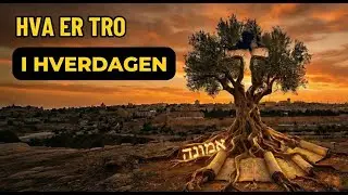 HVA ER TRO? - Episode 9 - I hverdagen