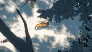 White Fang 2018