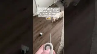 Must-try cat teasing toy for your furry friend #discount #fok #flashsales