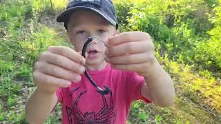 How to rig a plastic worm
