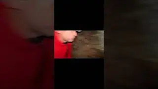 KNOCK OUT!