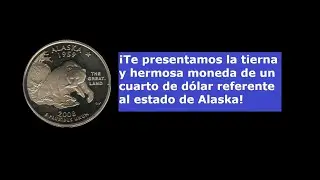 &iexcl;Te presentamos la tierna y hermosa moneda de un cuarto de d&oacute;lar referente al estado de Alaska!