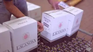 La Canosa, Azienda Vinicola di Rotella (AP) - video ufficiale