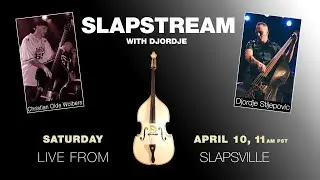 Metal & Hip Hop Slap Bass w/ CHRISTIAN OLDE WOLBERS - Slapstream with Djordje #44