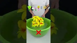 TRY TO GUESS HOW MANY TISSUE PAPER WILL FLOAT? #asmr #satisfying #experiment #water
