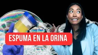Orina con espuma: ¿Problema en los riñones?