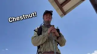 Continental Divide Trail - Days 26-27