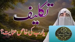 Takleef… ya Rab ki Khaas Inayat? Kya Mushkilat Zindagi Badalne ka Allah ka Khufiya Tohfa Hoti Hain?