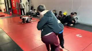 Brooklyn Mixed Martial Arts Kids Classes 