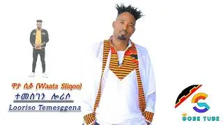 Waata siiqoo hewaano (ዋታ ሲቆ) ተመስገን ሎሪሶ new music 2024