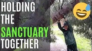 Destruction at Jacobs Ridge!