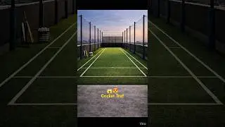 Cricket Truf on Rooftop 😱 | Ultimate Practice Setup #shorts #cricketlover #renovation