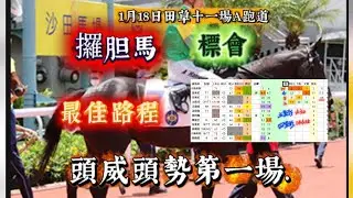 頭威頭勢第一場，《攞胆馬》標會！最佳路程！18/1田草十一場A跑道。