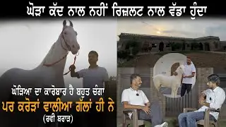 Brar Stud Farm | Ravi Brar | Bikram Randhawa | Saffran Te.Ep-40 | Saanjh Dil Ton Dilan Di