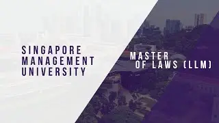 Elevate Your Legal Career: Master the Classic and Novel Areas of Law with SMU's LLM Programme