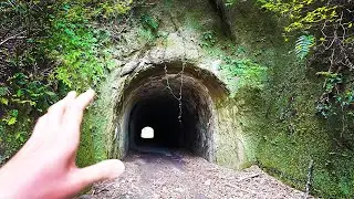 A primitive insect is standing beside the tunnel