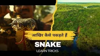 कैसे पकड़े जाते हैं सांप? | Snake Catching in India | Snake Catcher Explained in Hindi&rdquo;