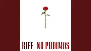 No Pudimos