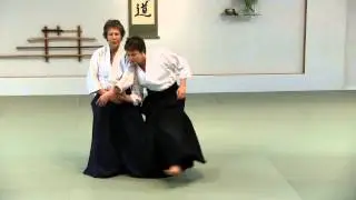 Aikido - 2012 the 