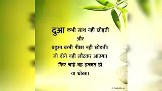 दिल को छू लेने वाली कुछ सच्ची और अच्छी बातें।❤️🌿🙏✍️#anmolvachan#prarnadayakvichar#hindiquotes#viral